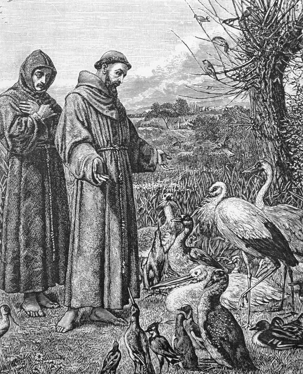 القديس فرنسيس الأسيزي (1182-1226) بواسطة مدرسة اللغة الإنجليزية