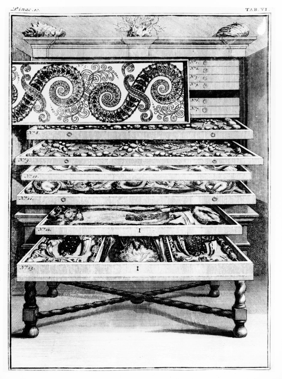 الجدول 6 من "جداول القوائم" بقلم ليفين سانت فنسنت (1658-1727) 1719 بواسطة مدرسة اللغة الإنجليزية