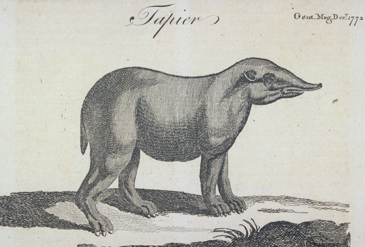 التابير ، من "مجلة الرجل" ، نُشرت في ديسمبر 1772 بواسطة مدرسة اللغة الإنجليزية