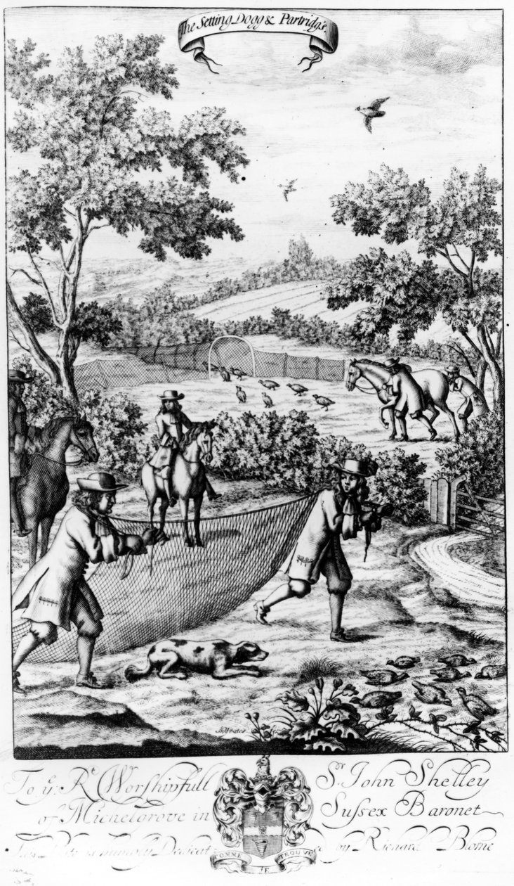 The Setting Dog and Partridges ، من "The Gentleman&39;s Recreation" نشره ريتشارد بلوم ، 1686 بواسطة مدرسة اللغة الإنجليزية