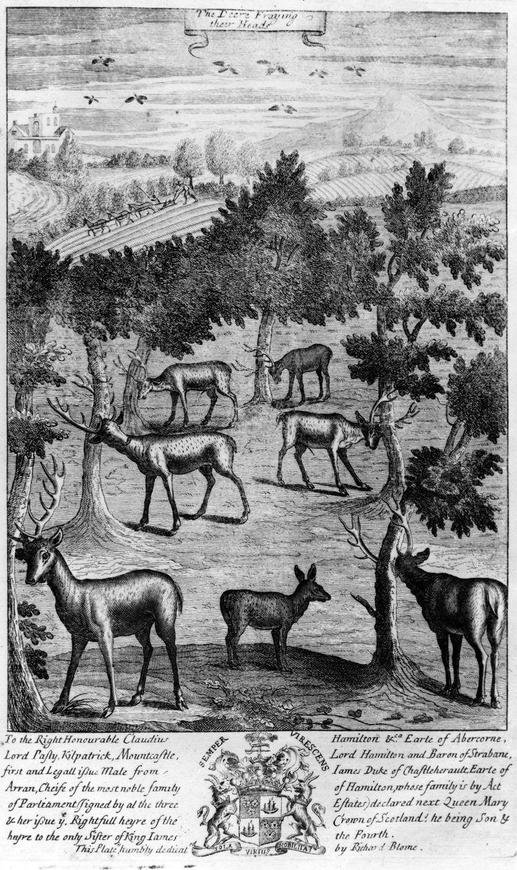الغزلان تتعب رؤوسهم ، من "منتزه الجنتلمان" الذي نشره ريتشارد بلوم ، 1686 بواسطة مدرسة اللغة الإنجليزية