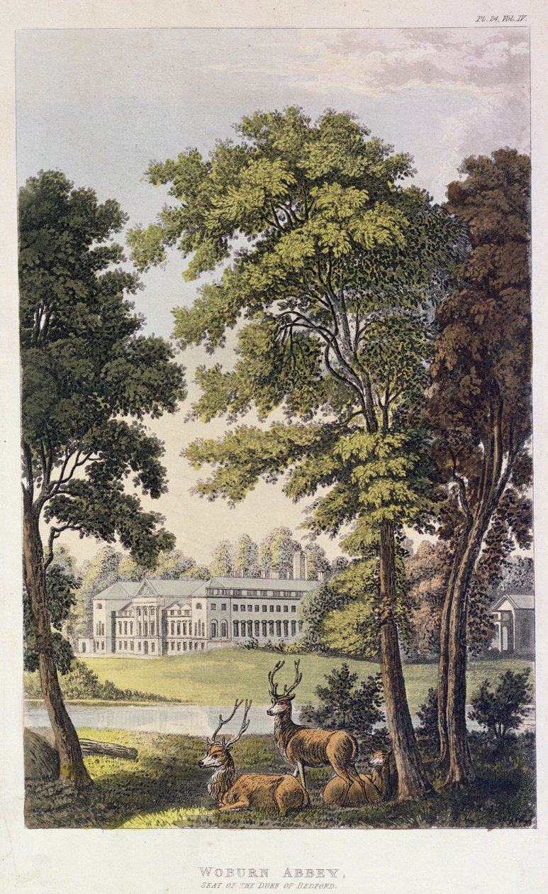 دير Woburn ، من "مستودع الفنون في Ackermann" ، 1828 بواسطة مدرسة اللغة الإنجليزية