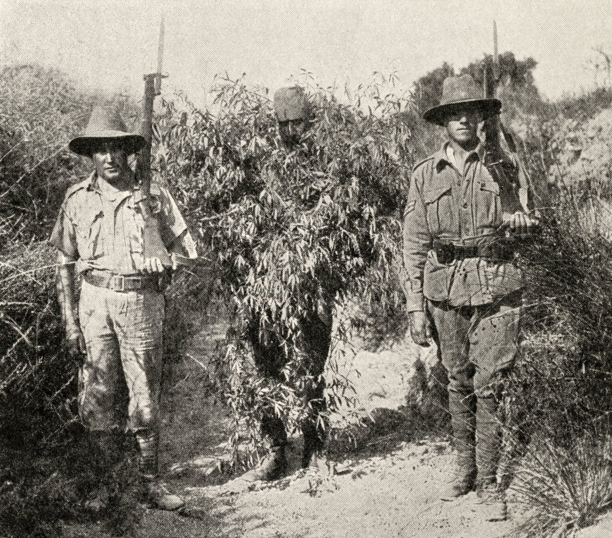 قناص تركي ، متنكرا في شكل شجيرة ، في الحجز بعد أن تم القبض عليه من قبل قوات ANZAC ، من "الحرب العظمى: تاريخ" ، المجلد الثالث ، 1916 بواسطة مصور انجليزى
