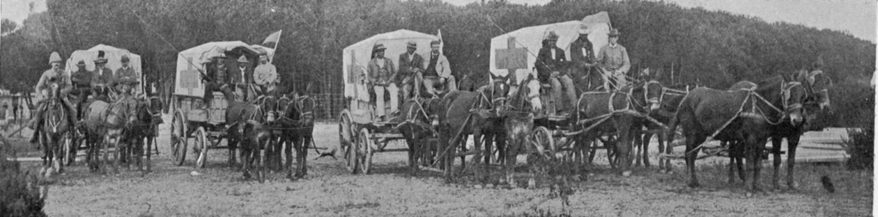 عربات الإسعاف تغادر مستشفى الطاعون في كيب تاون ، صورة توضيحية من الملك ، 25 مايو 1901 بواسطة مصور انجليزى