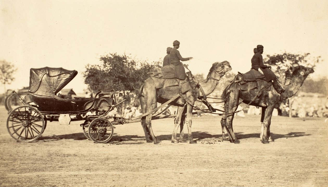 عربة الجمال حوالي 1860 (حفر ضوئي) بواسطة مصور انجليزى