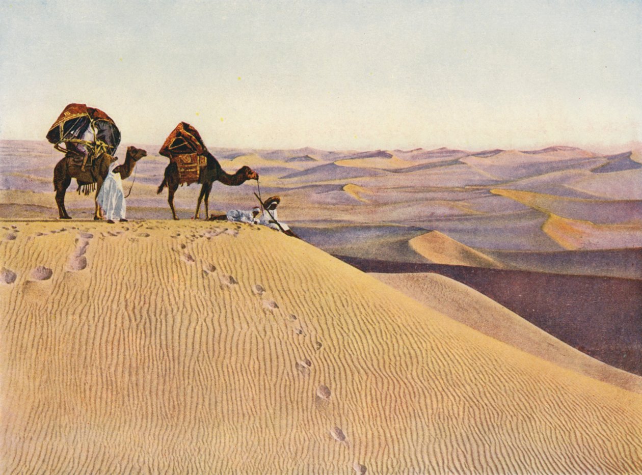  بواسطة مصور انجليزى