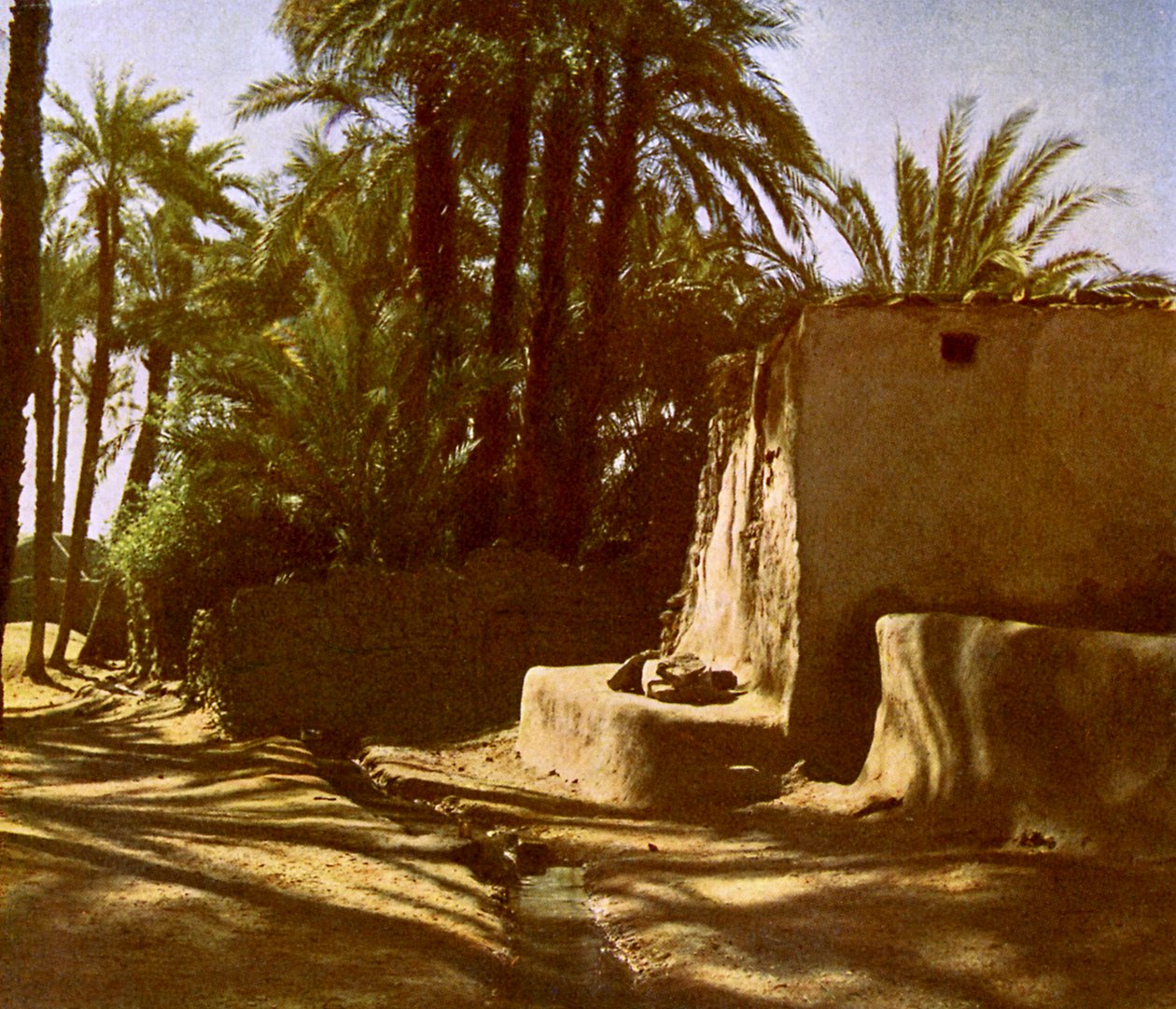 مصر - الكرنك بواسطة مصور انجليزى