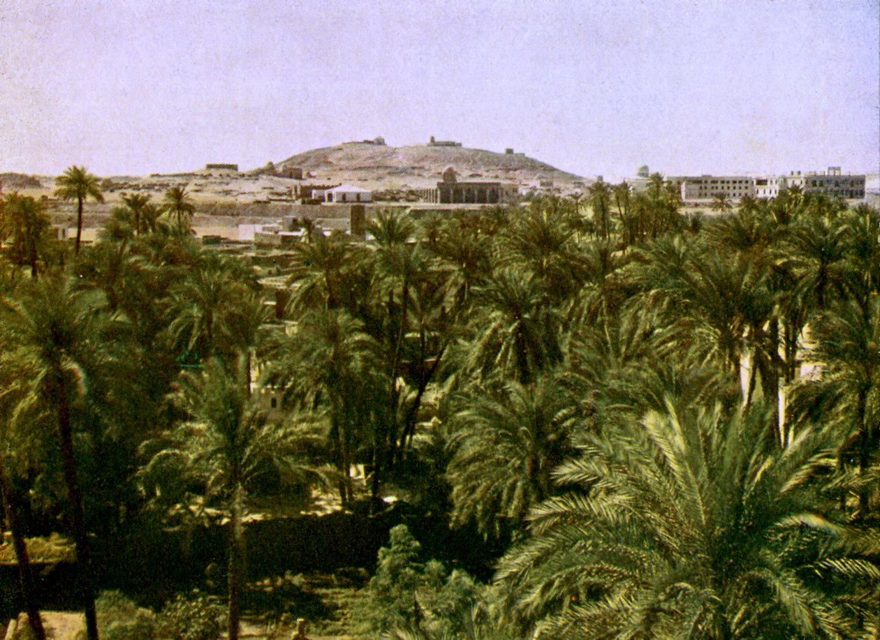مصر - اسوان بواسطة مصور انجليزى
