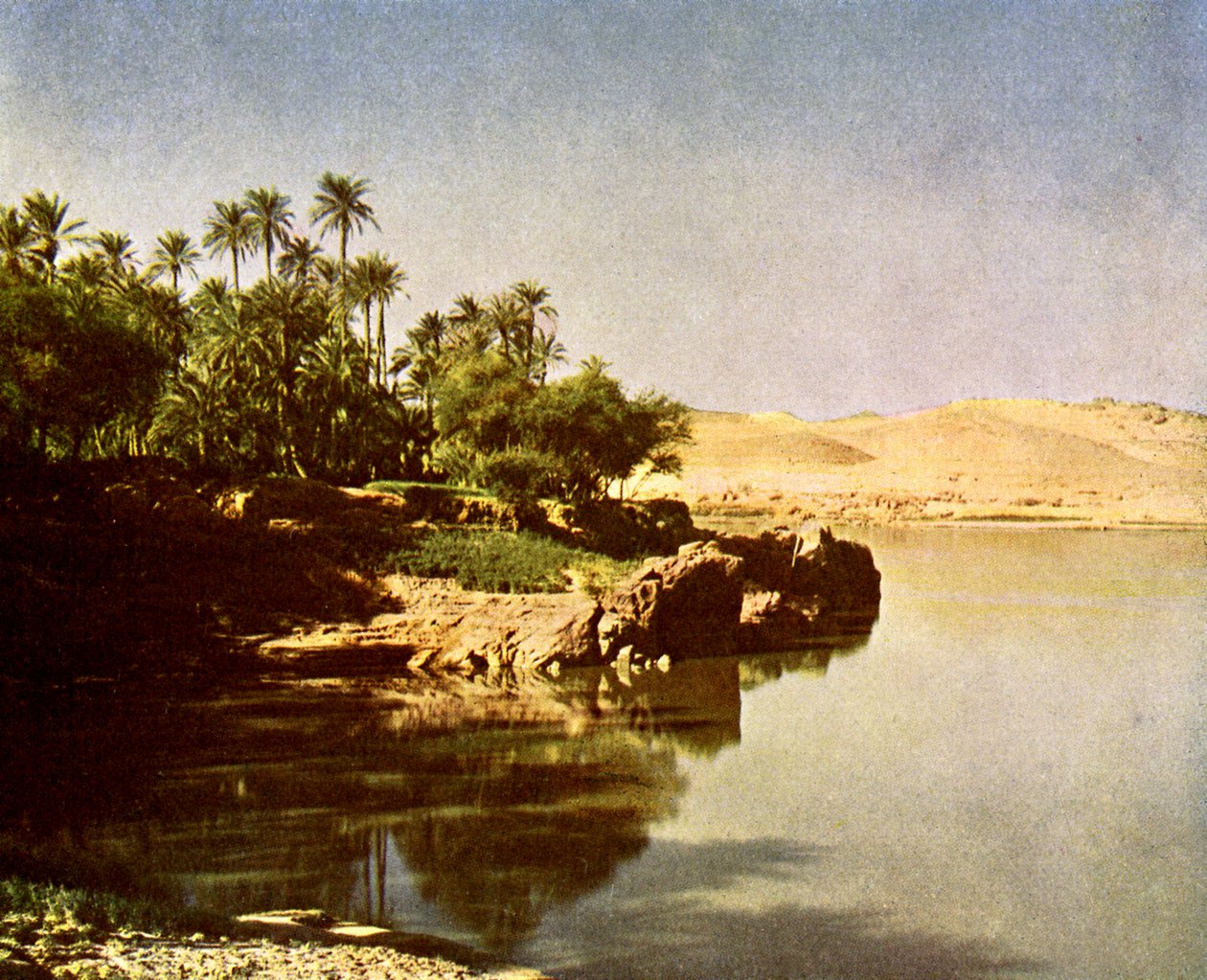 الفنتين بواسطة مصور انجليزى