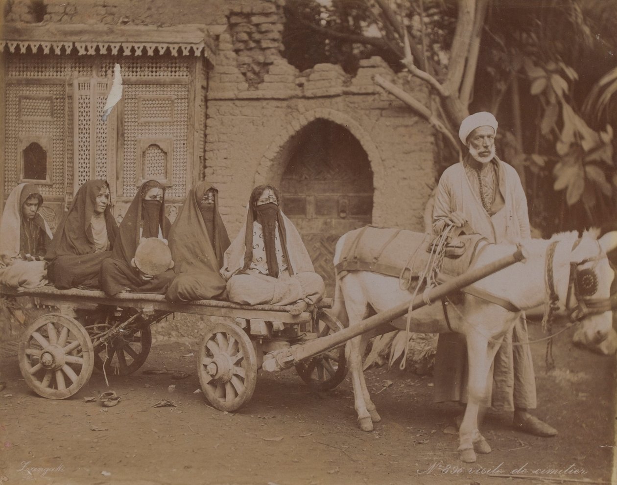 عربة تجرها الخيول ، القاهرة ، 1893 بواسطة مصور انجليزى