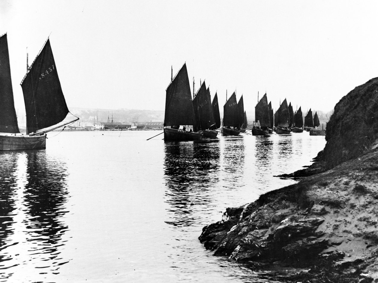 ريجاتا ، مصب Hayle ، c.1890 بواسطة مصور انجليزى