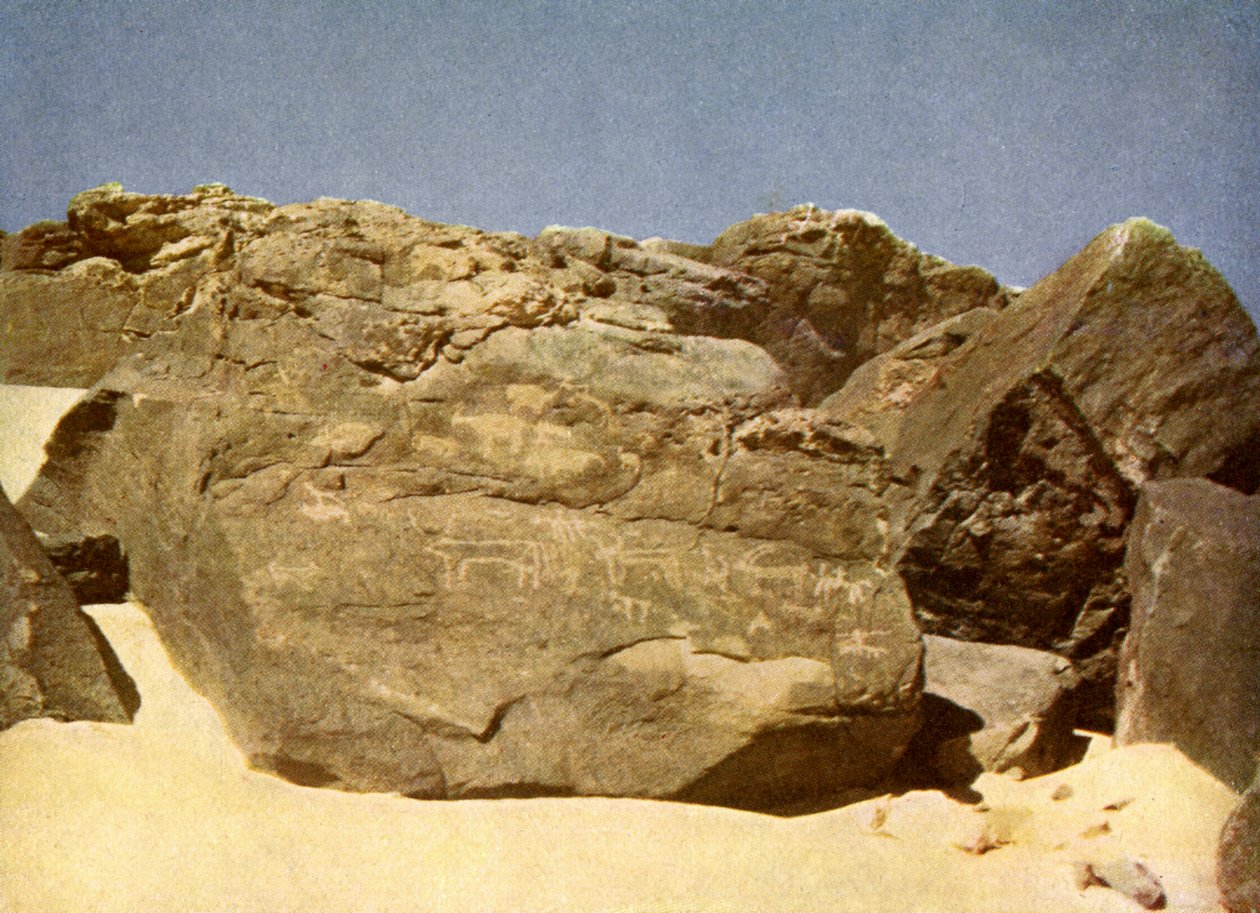 صخور تحمل الهيروغليفية عصور ما قبل التاريخ ، مصر. بواسطة مصور انجليزى