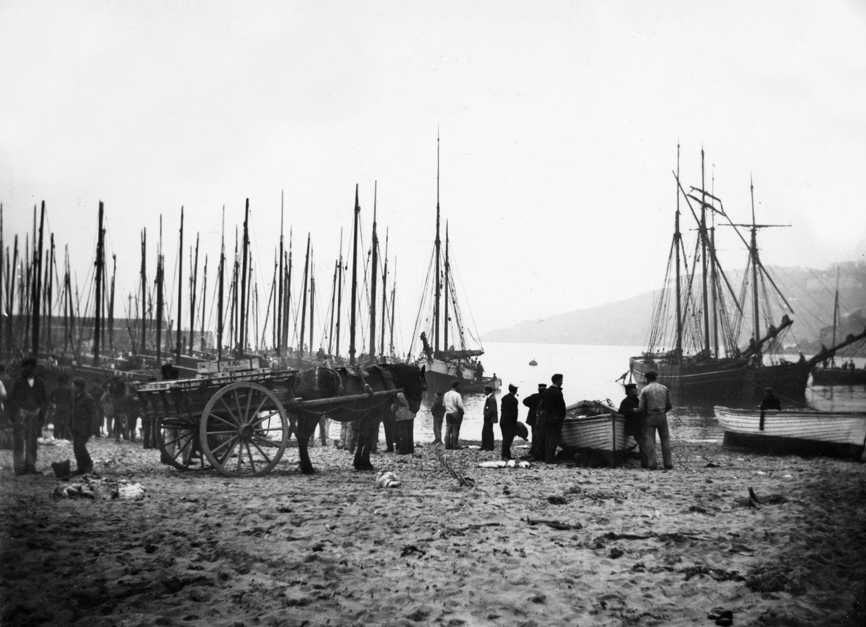 ميناء سانت آيفز يتطلع إلى خليج كاربيس ، 1880-99 بواسطة مصور انجليزى