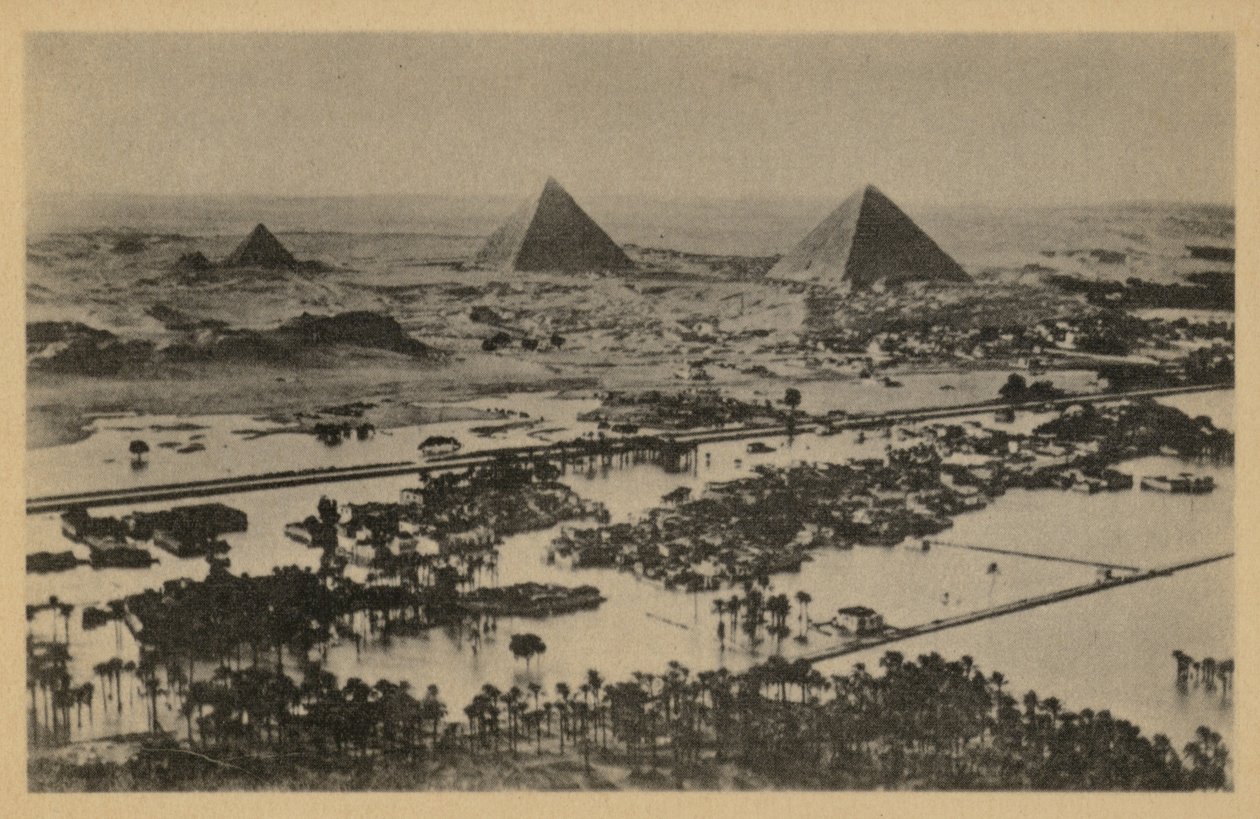  بواسطة مصور انجليزى
