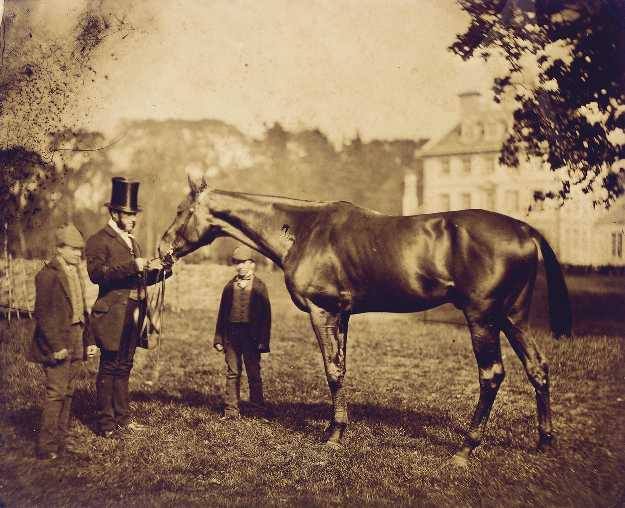 Wild Dayrell ، الفائز بالديربي عام 1856 بواسطة مصور انجليزى