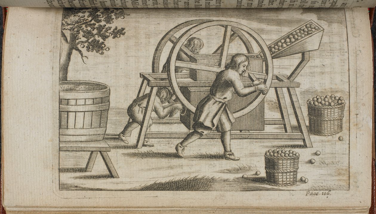 آلة لضغط الفاكهة ، رسم توضيحي من "Vinetum Britannicum" أو "A Treatise of Cyder" بواسطة مدرسة اللغة الإنجليزية