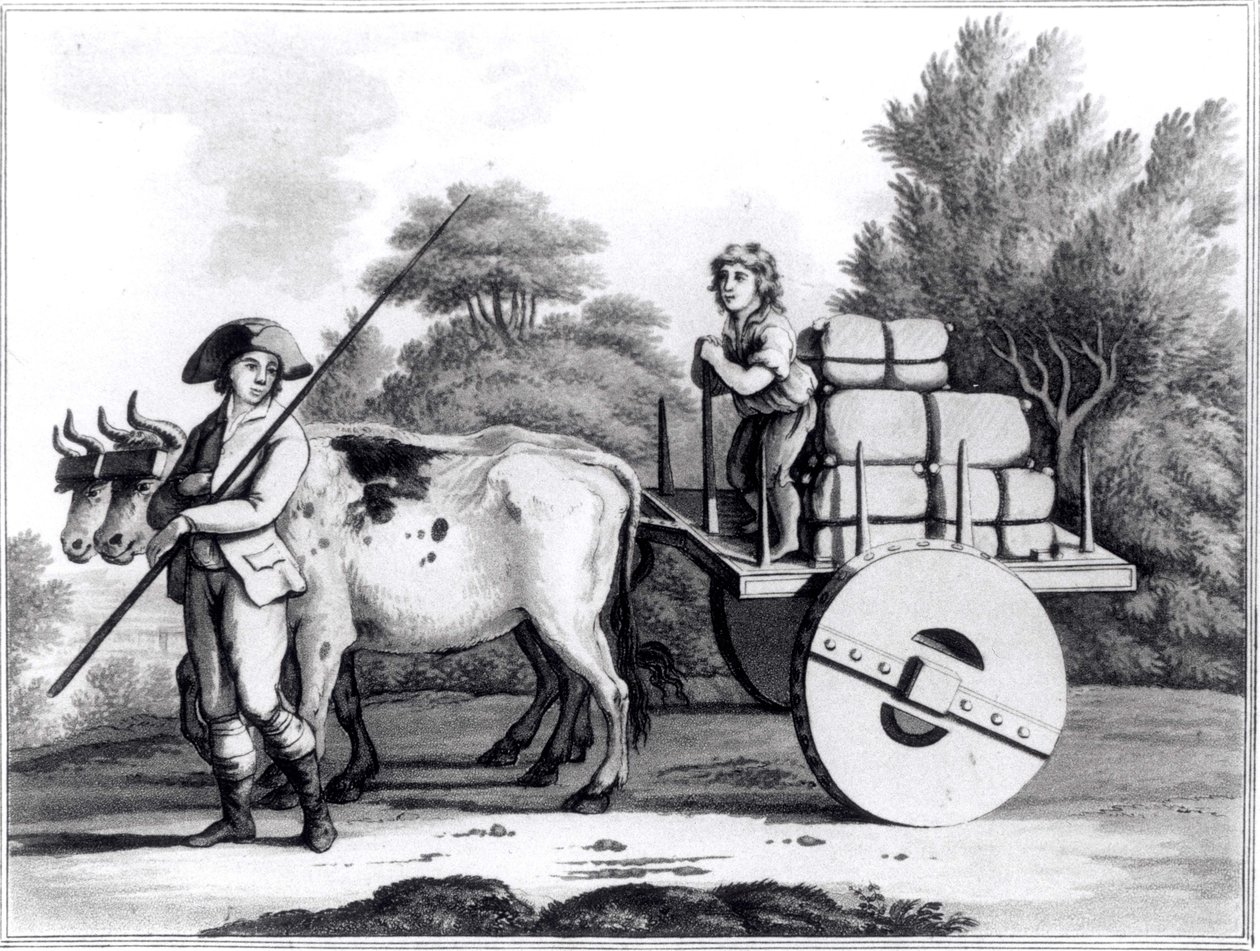 مزرعة برتغالية ، من منظر عام لدولة البرتغال بقلم جيمس مورفي ، نشرت عام 1797 بواسطة مدرسة اللغة الإنجليزية