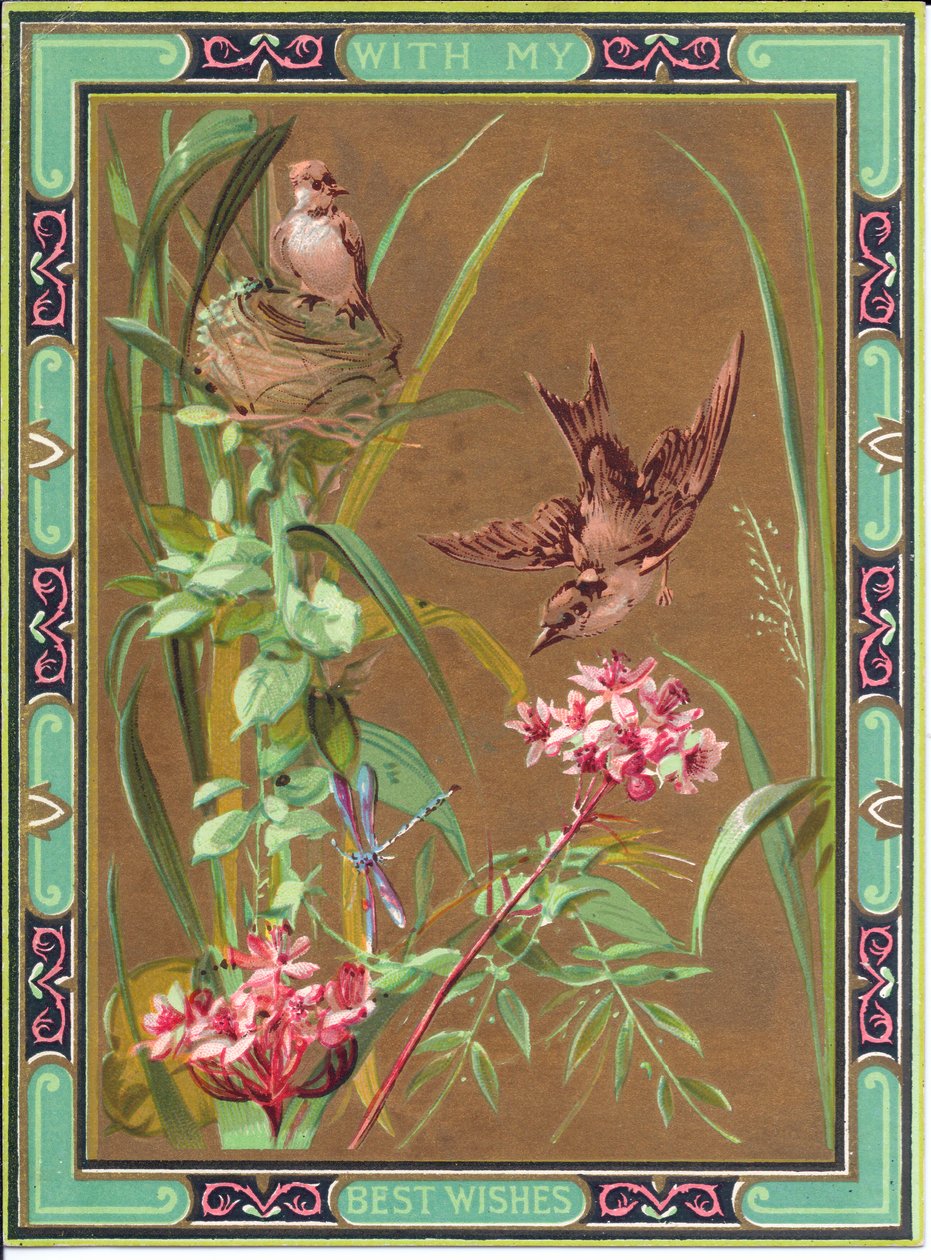 بطاقة معايدة من العصر الفيكتوري لطائر يطارد اليعسوب وطائرًا في عشه ، حوالي عام 1880 بواسطة مدرسة اللغة الإنجليزية