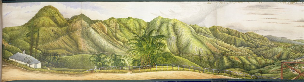 نظرة نحو كينغستون من المصحة العسكرية في نيوكاسل ، بلو ماونتينز ، جامايكا ، 1855 (مرحاض وغواش على ورق موضوع على قماش) بواسطة مدرسة اللغة الإنجليزية