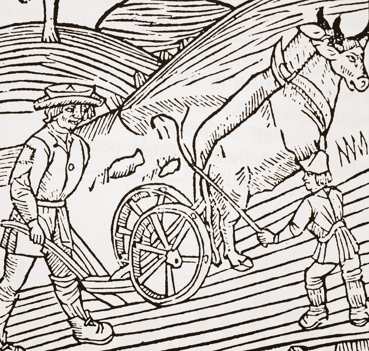 زوج من الثيران يُرْفَع إلى محراث ، صفحة عنوان من John Fitzherberts Boke of Agriculturery ، الحانة الأولى. 1523 بواسطة مدرسة اللغة الإنجليزية