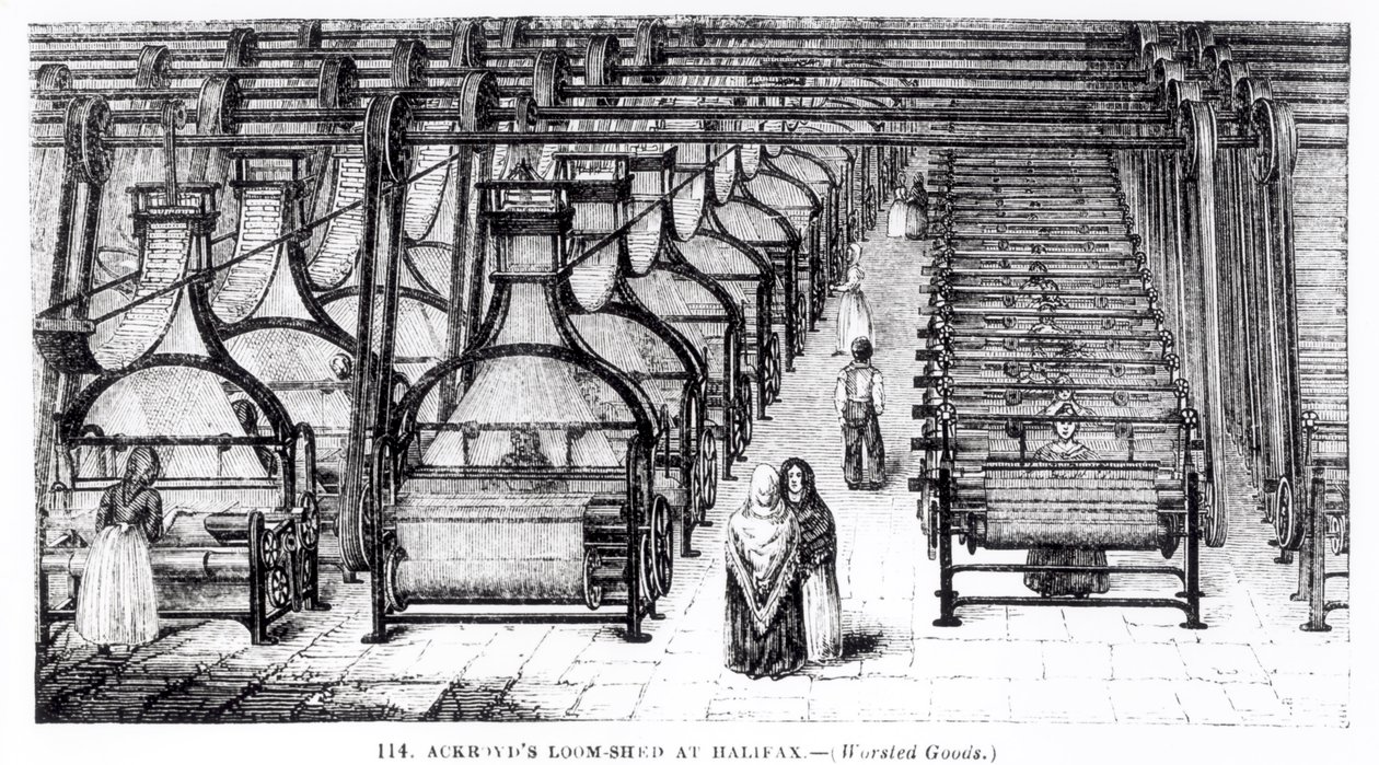 Ackroyd&39;s Loom-Shed at Halifax (Worsted Goods) بواسطة مدرسة اللغة الإنجليزية