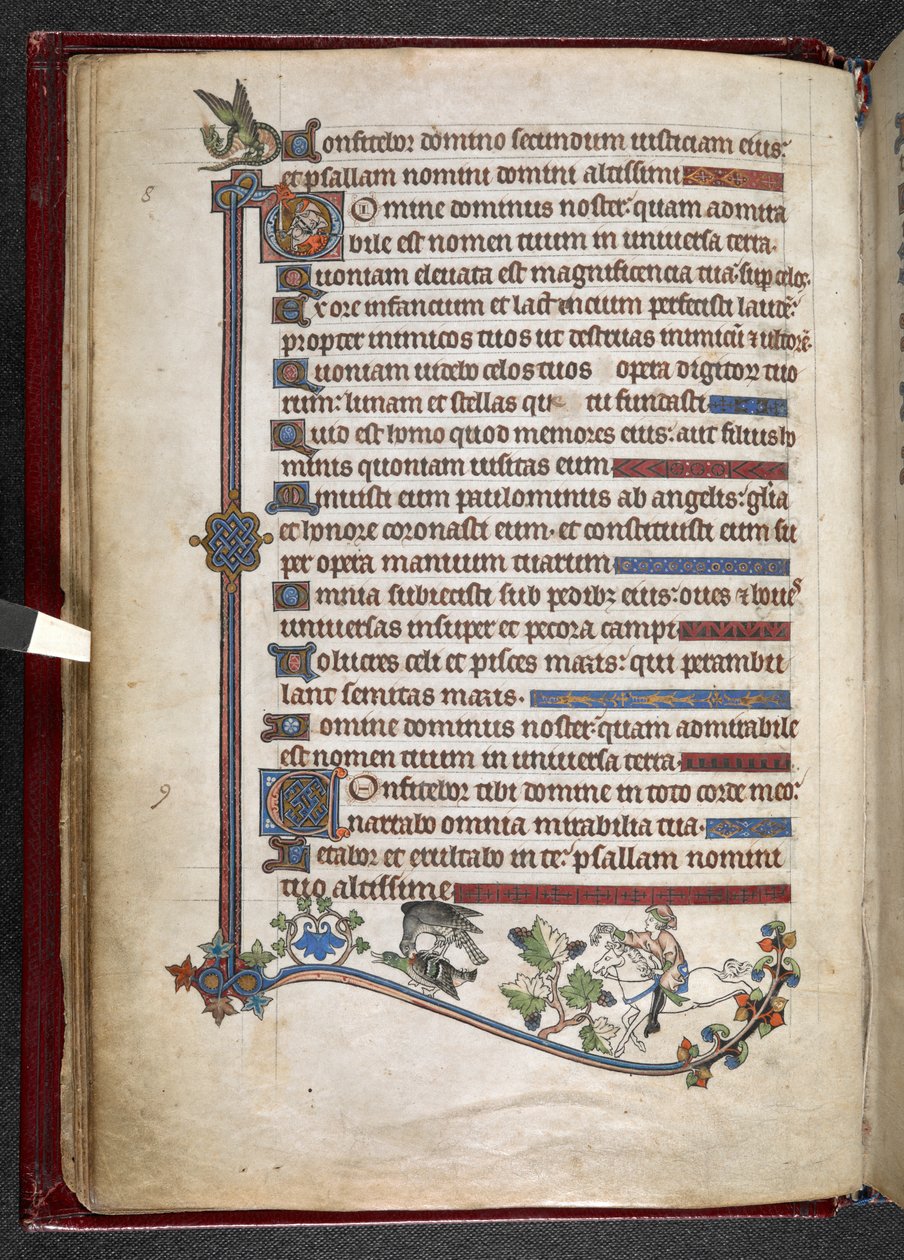 إضافة MS 24686 ، f.14v ، صبي على مهر مع بطة صيد صقر ، حوالي 1284-1316 (رق) بواسطة مدرسة اللغة الإنجليزية