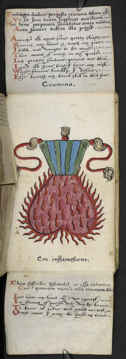 أضف كتاب اللعبة MS 57312 f.10 (حبر وألوان على ورق) بواسطة مدرسة اللغة الإنجليزية