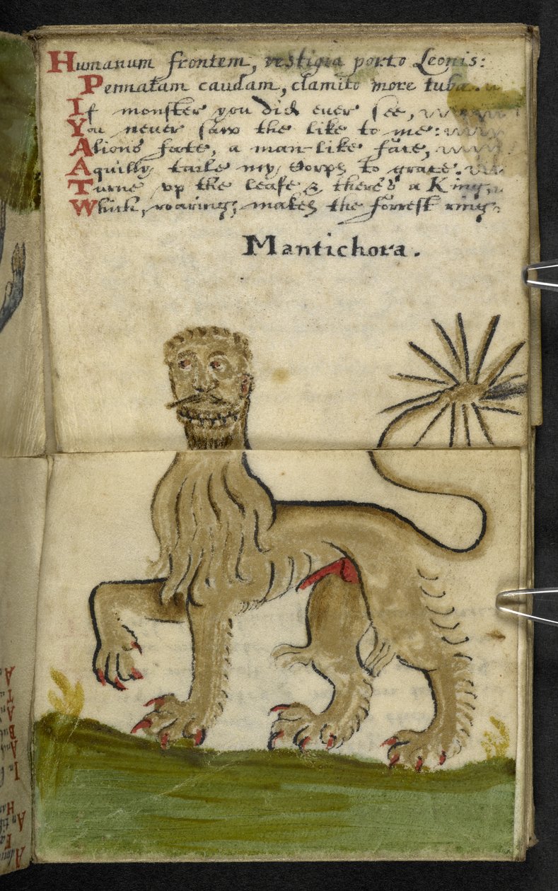 أضف كتاب الألعاب MS 57312 f.11 (حبر وألوان على ورق) بواسطة مدرسة اللغة الإنجليزية