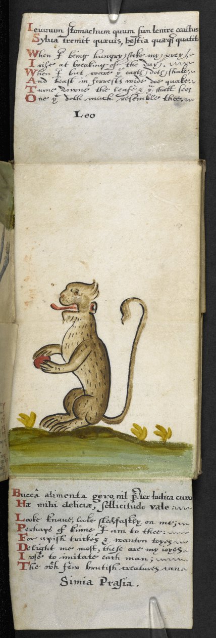 أضف كتاب الألعاب MS 57312 f.12 (حبر وألوان على ورق) بواسطة مدرسة اللغة الإنجليزية