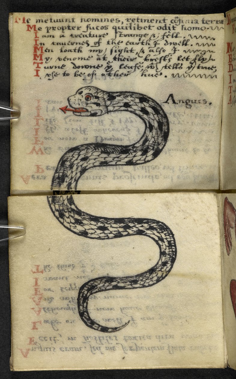إضافة MS 57312 f.4 كتاب اللعبة (الحبر والألوان على ورق) بواسطة مدرسة اللغة الإنجليزية