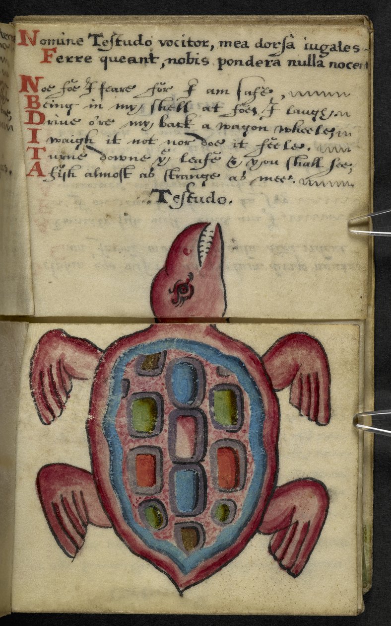 أضف كتاب اللعبة MS 57312 f.5 (حبر وألوان على ورق) بواسطة مدرسة اللغة الإنجليزية
