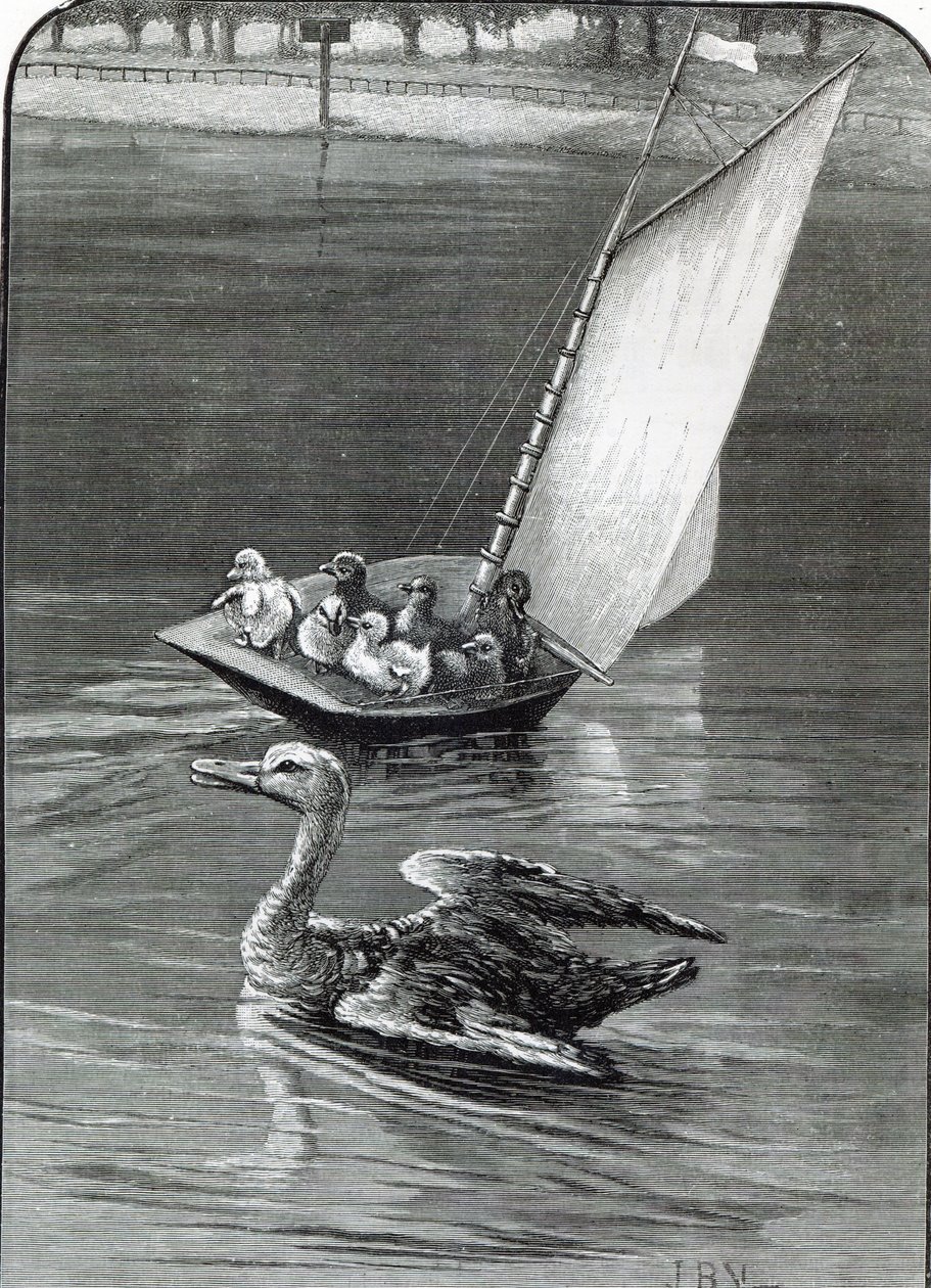 أم قلقة ، حادثة شوهدت ورُسمت في البركة المستديرة ، كنسينغتون ، من "ساعة الترفيه" ، 1888 بواسطة مدرسة اللغة الإنجليزية