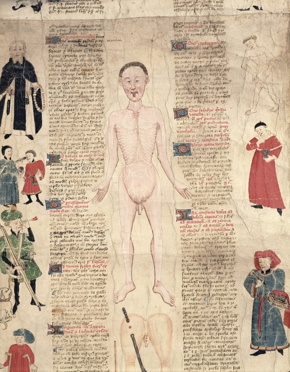مخطط تشريحي ، من De arte phisicali e de cirugia بقلم جون أردين ، 1412 بواسطة مدرسة اللغة الإنجليزية