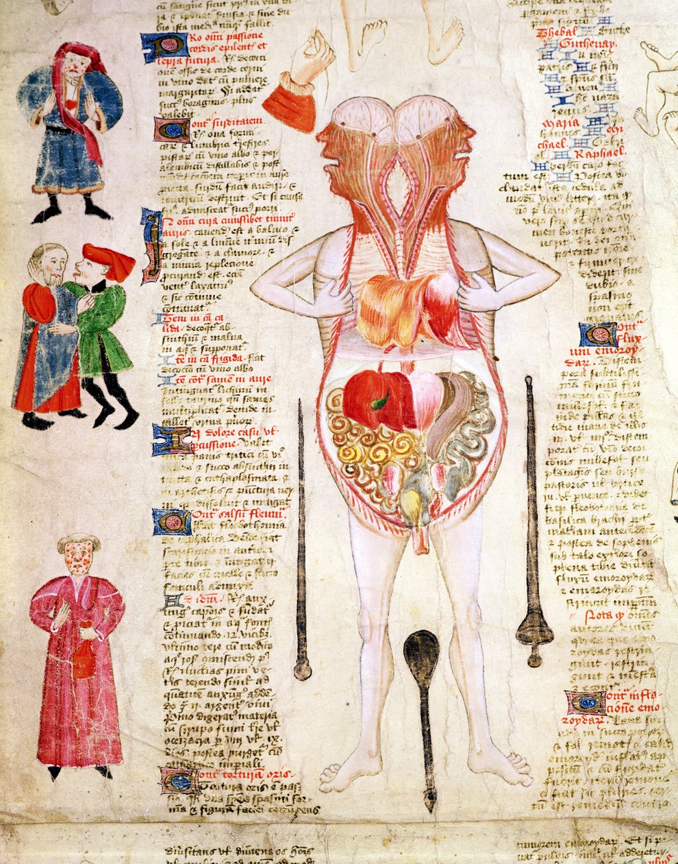 مخطط تشريحي، من كتاب "De arte phisicali e de cirurgia" لجون أرديرن بواسطة مدرسة اللغة الإنجليزية