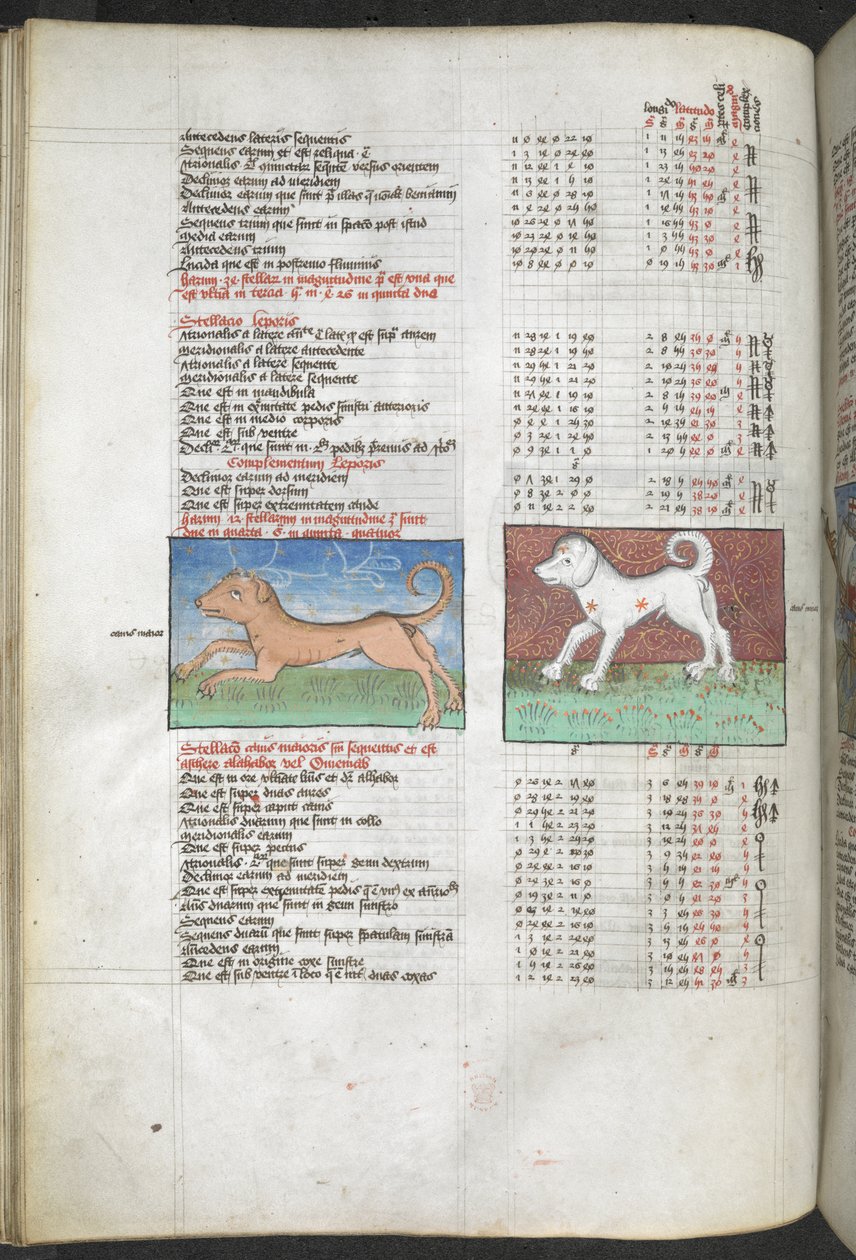Arundel MS 66 f.44v تم تصوير Canis maior و Canis الثانوي على أنهما كتالوج النجوم للكلاب المستخرجة من بطليموس ، المجسطي ... "التجميع الفلكي والنبوءات السياسية بواسطة مدرسة اللغة الإنجليزية
