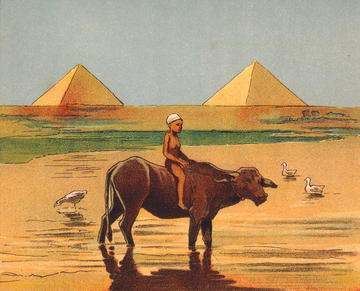 صبي يركب ثورًا أمام الأهرامات، مصر (صورة حجرية ملونة) بواسطة مدرسة اللغة الإنجليزية