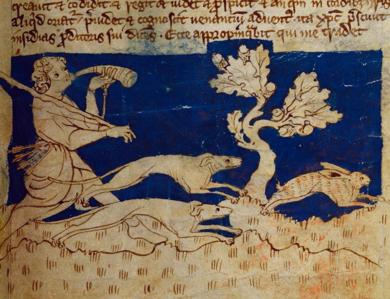 CCA-LitMs - D - 10 fol. المشهد الثاني من الصيد من Bestiary بواسطة مدرسة اللغة الإنجليزية