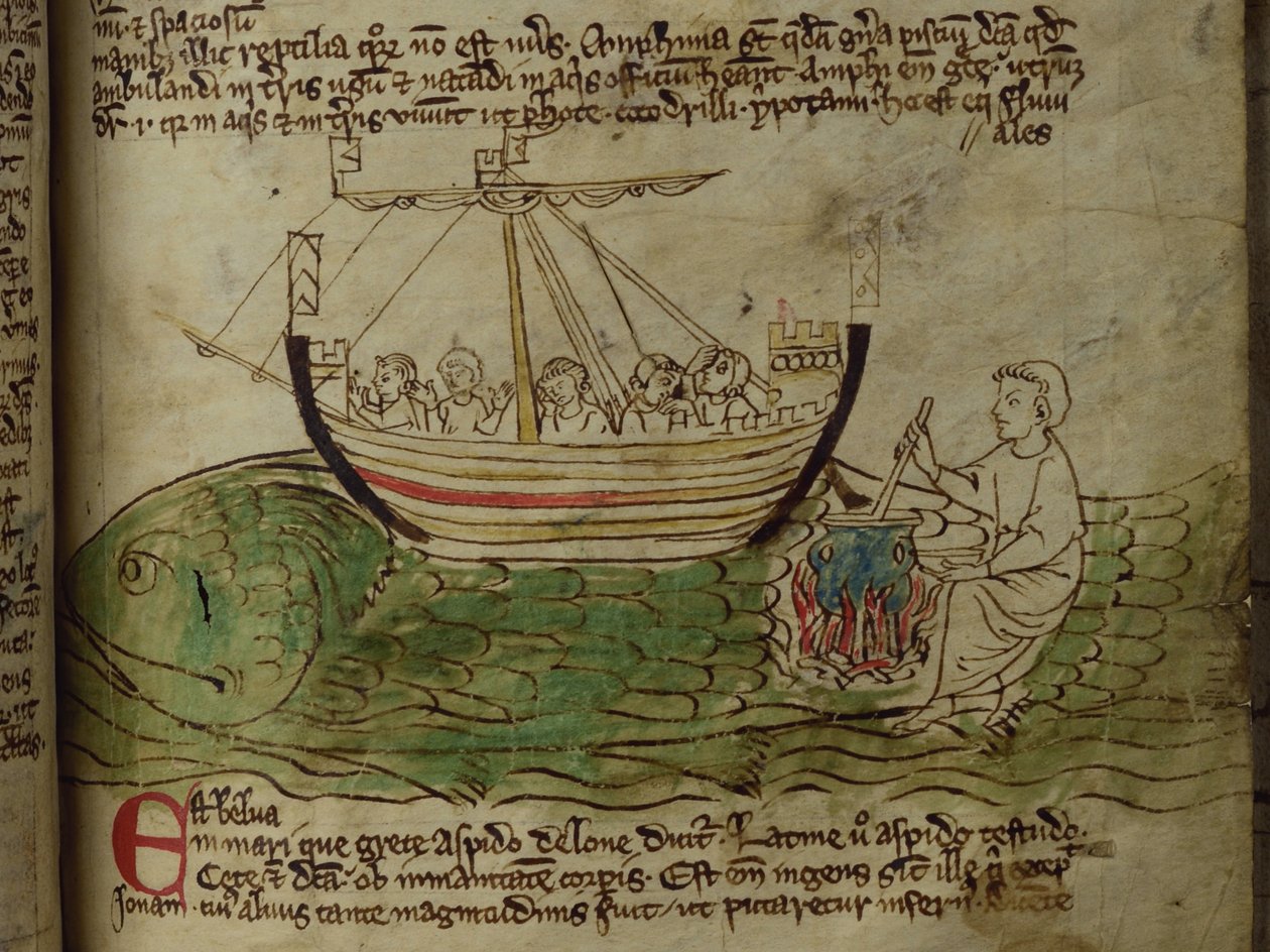 CCA-LitMs - D - 10 fol. 30r حوت من بيستاري بواسطة مدرسة اللغة الإنجليزية