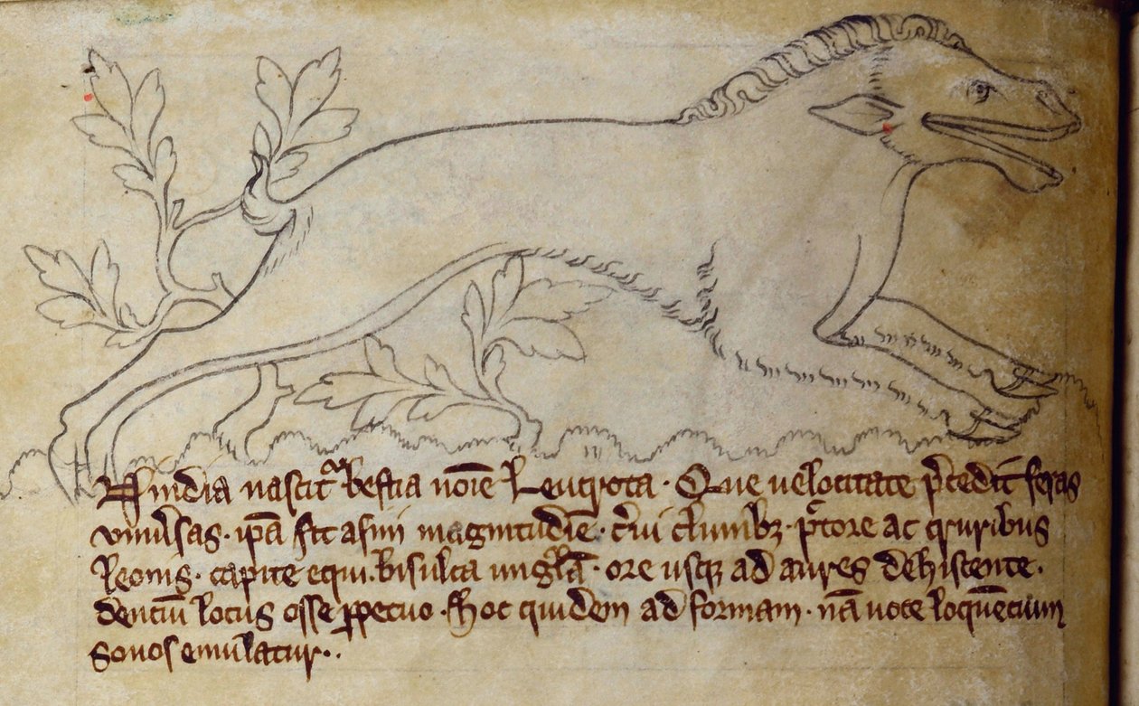 CCA-LitMs - D - 10 fol. 3v Leucrota ، من Bestiary بواسطة مدرسة اللغة الإنجليزية