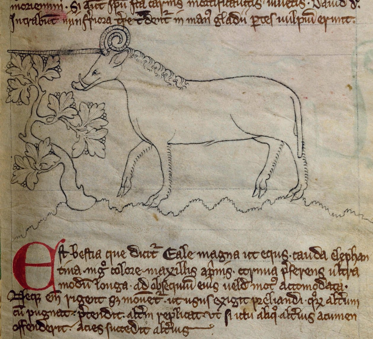 CCA-LitMs - D - 10 fol. 4r ييل ، من Bestiary بواسطة مدرسة اللغة الإنجليزية
