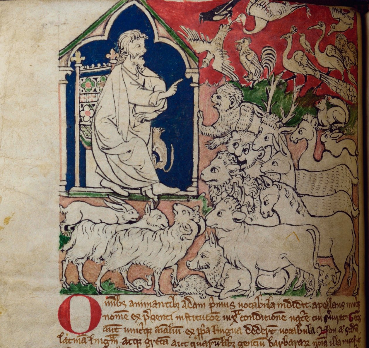 CCA-LitMs - D - 10 fol. 7 ظ آدم ، من بستاري بواسطة مدرسة اللغة الإنجليزية