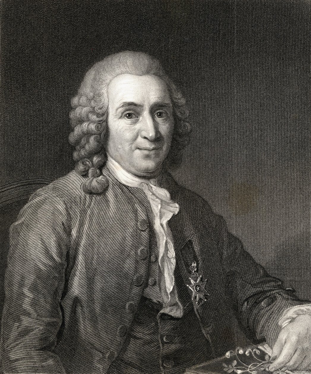 كارل فون ليني أو لينيوس (1707-78) من معرض الصور ، نُشر عام 1833 بواسطة مدرسة اللغة الإنجليزية