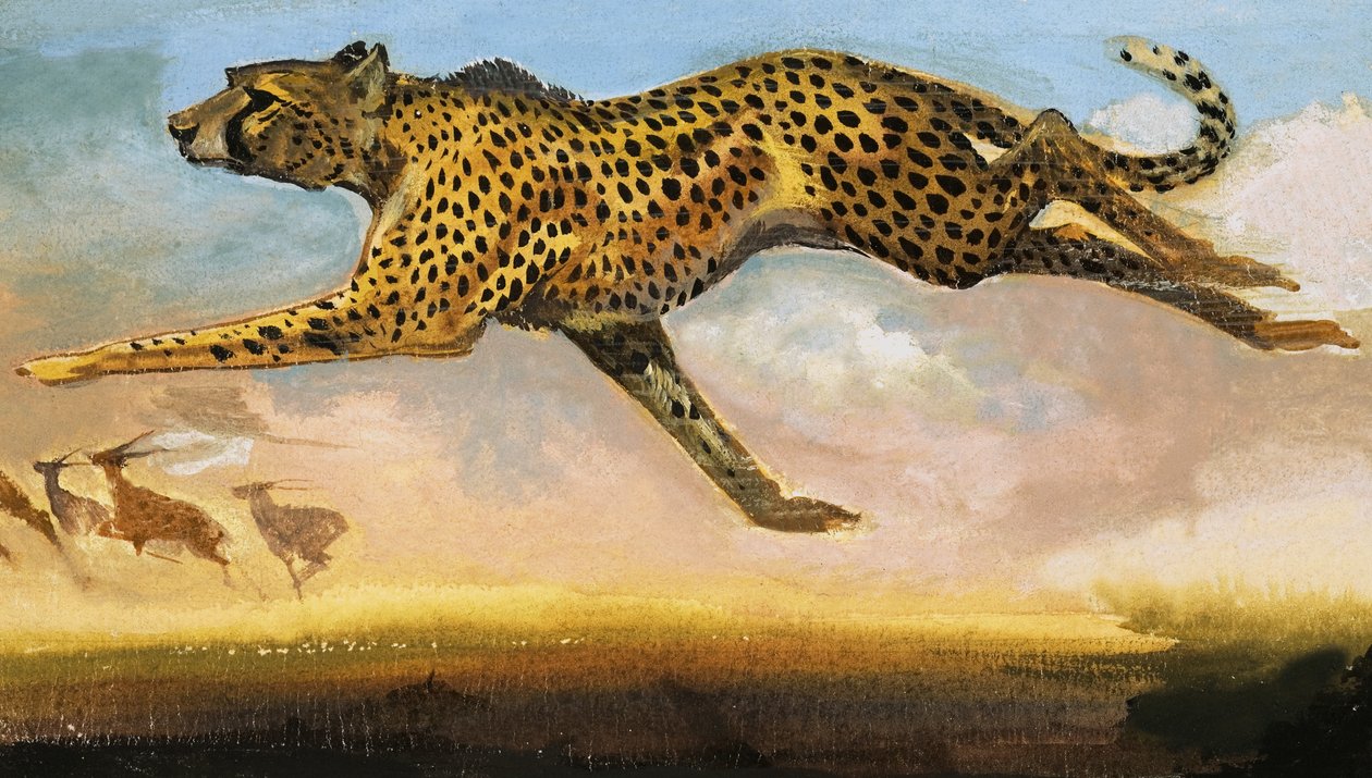  بواسطة مدرسة اللغة الإنجليزية