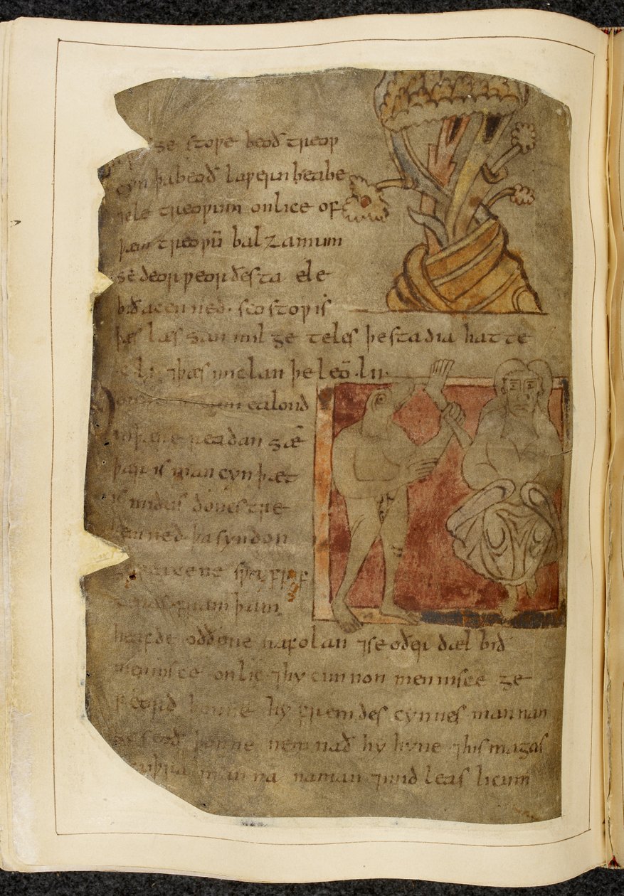 Cotton Vitellius A. XV f.103v، شجرة ينمو منها البلسم؛ دونستر ، رجل برأس وحش ، على اليسار ممسكًا برجل ورجل بشري ، وشخص على اليمين ، رسم توضيحي من بيوولف ، من "مخطوطة نويل" (حبر على ورق) بواسطة مدرسة اللغة الإنجليزية