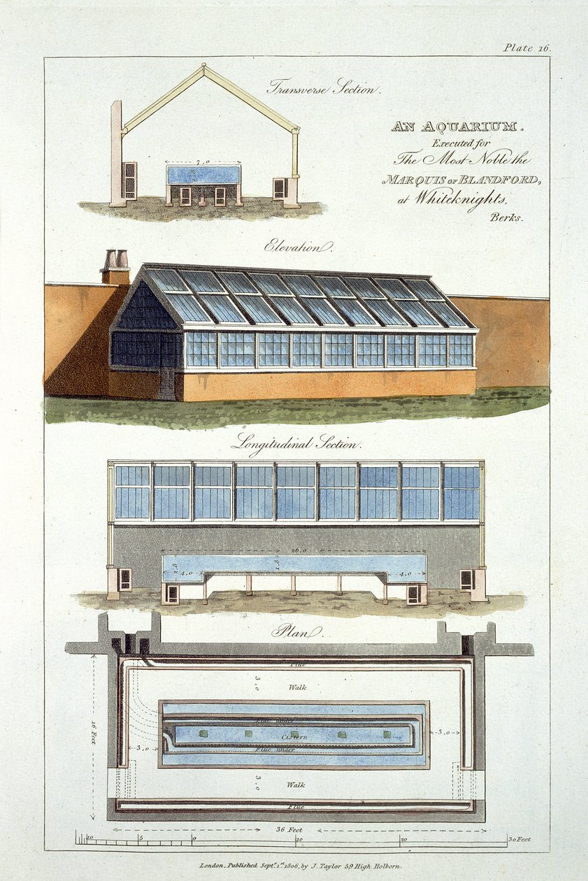 تصميم لمربى الأحياء المائية ، تم تنفيذه لماركيز بلاندفورد في وايت نايتس ، 1806 بواسطة مدرسة اللغة الإنجليزية