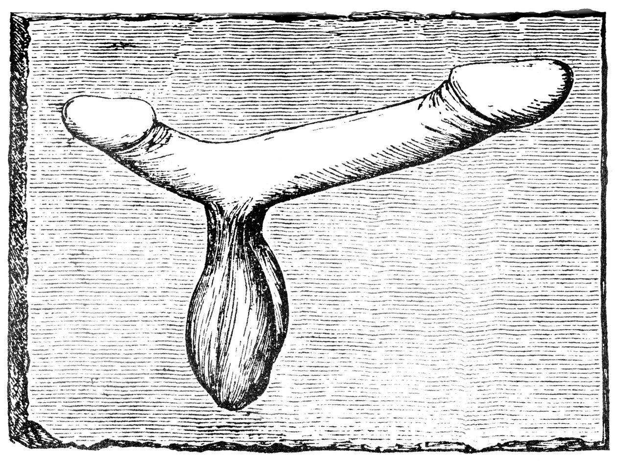 القضيب المزدوج من عتب القيء (ممر الخروج) في مدرج نيم (Colonia Nemausus) بواسطة مدرسة اللغة الإنجليزية