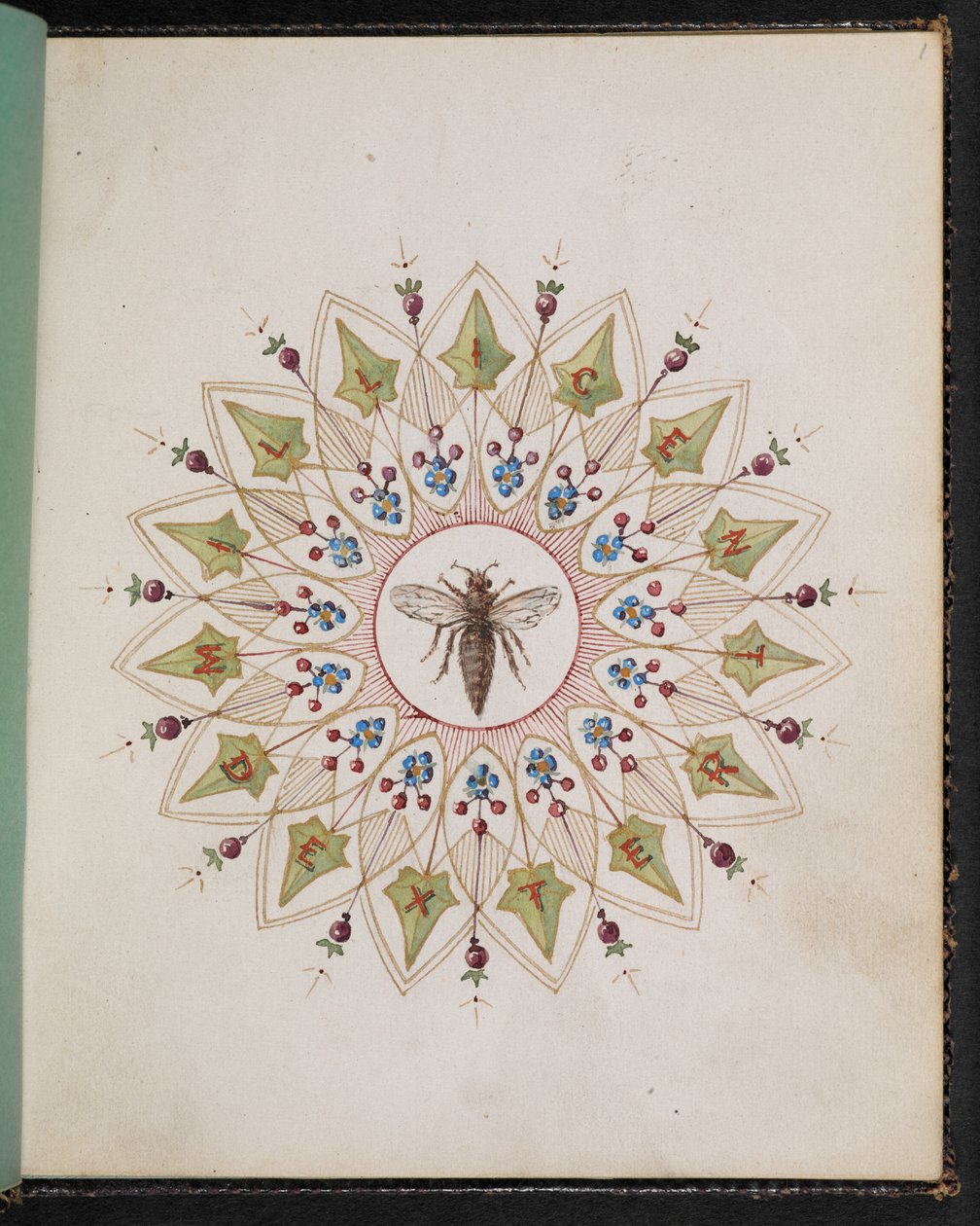 و 1: حشرة داخل التصميم. كتاب رسم بمشاهد من قصص تشارلز ديكنز (ألوان مائية على ورق) بواسطة مدرسة اللغة الإنجليزية