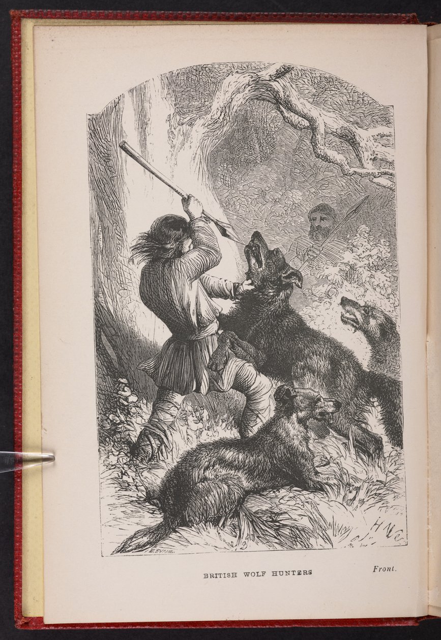 صورة مقدمة من The British Wolf-Hunters. حكاية ، وما إلى ذلك ، من تأليف توماس ميلر بواسطة مدرسة اللغة الإنجليزية