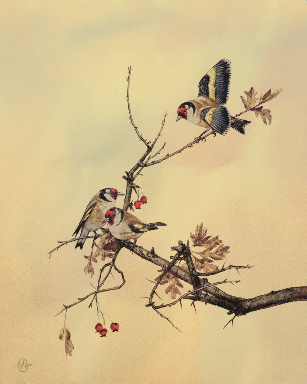 Goldfinches ، c.1890 (مرحاض على ورق) بواسطة مدرسة اللغة الإنجليزية
