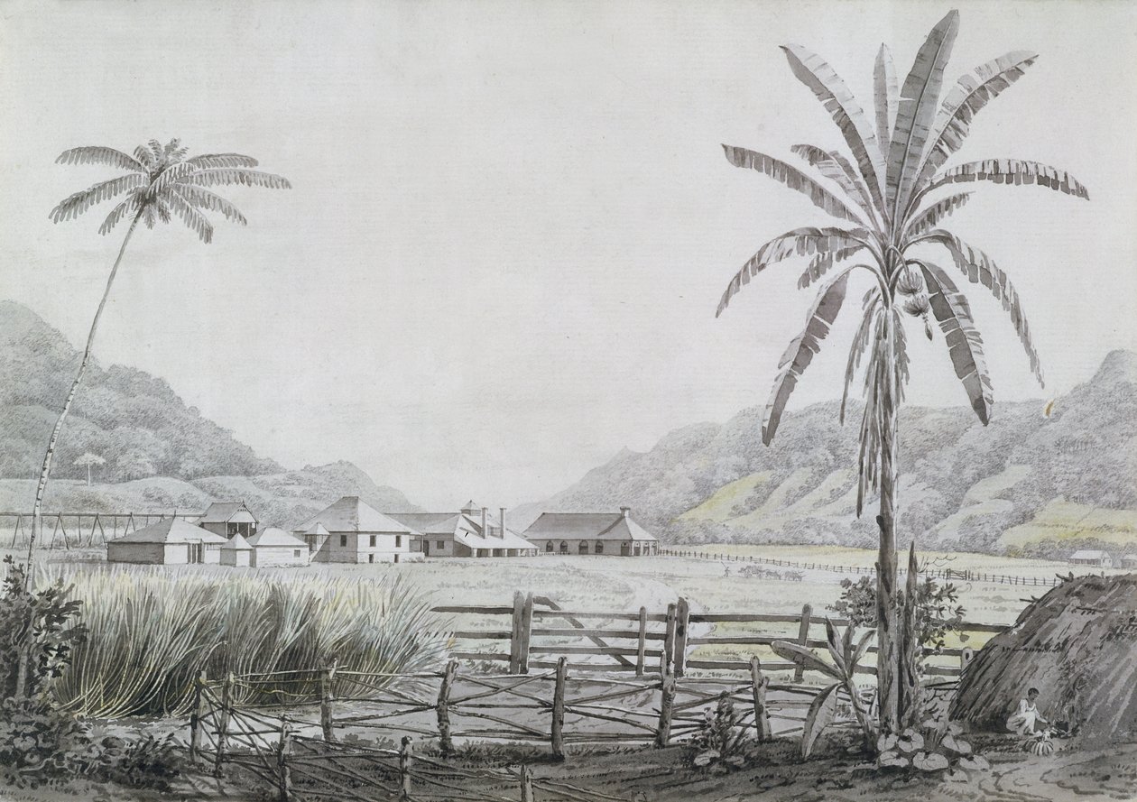 هالس هول ، جامايكا ، c.1780 (مرحاض وجرافيت على ورق) بواسطة مدرسة اللغة الإنجليزية